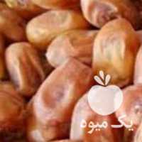 فروش قصب و خرما شاهانی در بوشهر در گروه خرید فروش عمده خرما - کبکاب تازه زاهدی خشک خارک در یکمیوه