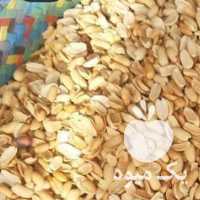 فروش خلال بادام زمینی کره گیری در آستانه اشرفیه در گروه بادام - درختی کوهی زمینی فروش عمده در یکمیوه