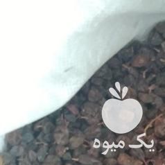 فروش کشمش آفتابی در قزوین در گروه آجیل - فروش عمده محصولات در یکمیوه -عکس1