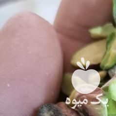 فروش مغز پسته سبز کال لپه ودندانه با کیفیت در تهران در گروه آجیل - فروش عمده محصولات در یکمیوه -عکس1