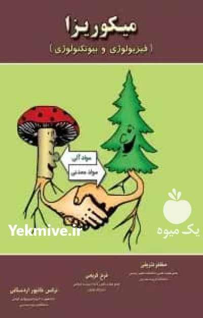 مایکوریزا قارچ ریشه اصلاح و افزایش انرژی خاک در بیرجند در گروه خرید فروش کود و مواد شیمیایی - اوره پتاس مرغی کمپوست آهن در یکمیوه