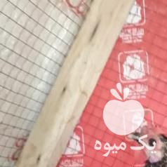 فروش مرغ و خروس مینیاتوری در بوشهر در گروه مرغ و خروس و بوقلمون و اردک قو قاز در یکمیوه -عکس1