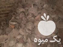 فروش چغندر قرمز تقریبا یک تن در ایلخچی در گروه خرید فروش عمده چغندر - قند لبویی قرمز سفید در یکمیوه -عکس1