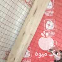 فروش مرغ و خروس مینیاتوری در بوشهر در گروه مرغ و خروس و بوقلمون و اردک قو قاز در یکمیوه