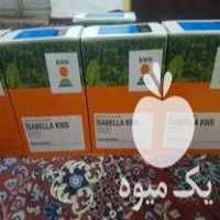 فروش بذر چغندر ایزابلا در صحنه در گروه خرید فروش بذر - انواع محصول کشاورزی گوجه کتان میوه درخت در یکمیوه