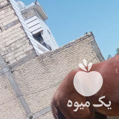 فروش اسب ماده ابستن 4 ماه دیگه بیشتر نداره در شیراز در گروه اسب و الاغ خر و فروش قاطر- ترکمن عربی سفید نر و ماده در یکمیوه -عکس1
