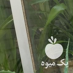 فروش کاکتوس آلوئه ورا در تهران در گروه خرید فروش عمده گیاهان زینتی - گرمسیری آپارتمانی باغچه آب در یکمیوه -عکس1