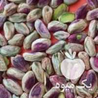 فروش پسته و مغز عمده مستقیم در رفسنجان در گروه پسته - کوهی شامی خام اکبری تازه کله قوچی در یکمیوه