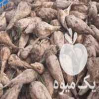 فروش ذرت علوفه ای بسته بندی وچغندر برای دام در بوئین زهرا در گروه خوراک دام و طیور - پرواری شیری علوفه یونجه در یکمیوه