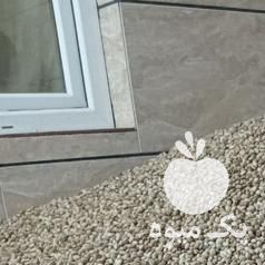 فروش پسته و مغز قزوین بویین زهرا در گروه پسته - کوهی شامی خام اکبری تازه کله قوچی در یکمیوه -عکس1