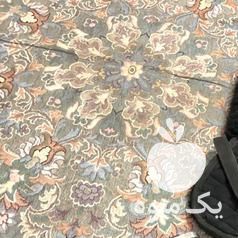 فروش تجهیزات اسب سواری در کرج در گروه اسب و الاغ خر و فروش قاطر- ترکمن عربی سفید نر و ماده در یکمیوه -عکس1