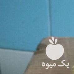 فروش جوجه لاری طوسی در تهران در گروه مرغ و خروس و بوقلمون و اردک قو قاز در یکمیوه -عکس1