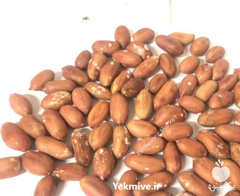 فروش انواع بادام زمینی ایرانی در آستانه اشرفیه در گروه انواع روغن - آفتابگردان کنجد سویا در یکمیوه -عکس1