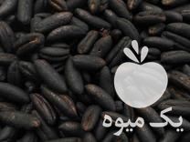 فروش پخش عمده هسته خرما تفت کامل و مغذ پخت و خوش رنگ در ایرانشهر در گروه خرید فروش عمده خرما - کبکاب تازه زاهدی خشک خارک در یکمیوه -عکس1