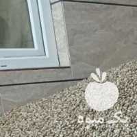 فروش پسته و مغز قزوین بویین زهرا در گروه پسته - کوهی شامی خام اکبری تازه کله قوچی در یکمیوه