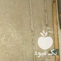 فروش 9 عدد مرغ و 1 عدد خروس در تهران در گروه مرغ و خروس و بوقلمون و اردک قو قاز در یکمیوه