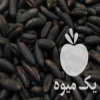 فروش پخش عمده هسته خرما تفت کامل و مغذ پخت و خوش رنگ در ایرانشهر