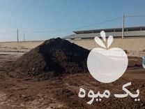 فروش کود حیوانی سوخته در شاندیز در گروه خرید فروش کود و مواد شیمیایی - اوره پتاس مرغی کمپوست آهن در یکمیوه -عکس1