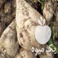 فروش کاه سویا بادام زمینی چغندر لبویی و دامی در اردبیل در گروه خوراک دام و طیور - پرواری شیری علوفه یونجه در یکمیوه