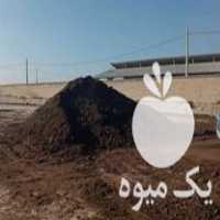 فروش کود حیوانی سوخته در شاندیز در گروه خرید فروش کود و مواد شیمیایی - اوره پتاس مرغی کمپوست آهن در یکمیوه