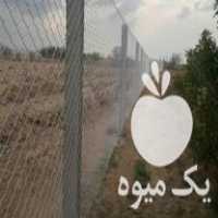 فروش تیرچه باغی و پایه فنس پایه بتنی و تیرچه سقف در زنجان در گروه خرید فروش عمده گلابی - شاه میوه نطنز قرمز خاردار در یکمیوه