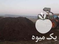 فروش کود حیوانی در اندیمشک در گروه خرید فروش کود و مواد شیمیایی - اوره پتاس مرغی کمپوست آهن در یکمیوه -عکس1