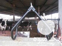 فروش جک بلند کننده گاو 0 در شیراز در گروه مشاوره - راه اندازی بازاریابی کسب درآمد بهبود کسب و کار در یکمیوه -عکس1