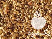 فروش پوست پسته تناژ ، منطقه خراسان رضوی در کاشمر در گروه پسته - کوهی شامی خام اکبری تازه کله قوچی در یکمیوه -عکس1