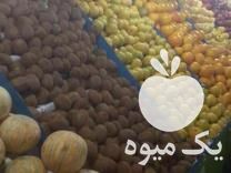 فروش پالت میوه  در تهران در گروه خرید فروش عمده هندوانه - صادراتی گرد بیضی زرد قرمز در یکمیوه -عکس1