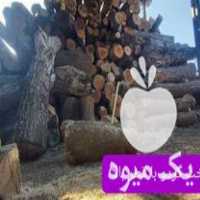 خرید و فروش چوب گردو  ،  توت  ،  ممرز  ، بلوط  ،  اوجا ملچ و غیره در گرگان در گروه خرید فروش عمده چوب- زغال چوب گردو تبریزی خام در یکمیوه