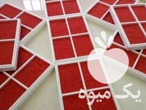 فروش تخم ماهی قزل آلا تحت لیسانس فرانسوی و اسپانیا در همدان در گروه ماهی قزل آلا - سالمون خال قرمز خرید و فروش دریا پرورشی در یکمیوه -عکس1