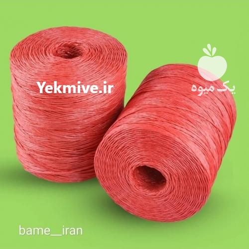 فروش نخ پرس علوفه یونجه در تهران در گروه خوراک دام و طیور - پرواری شیری علوفه یونجه در یکمیوه -عکس1