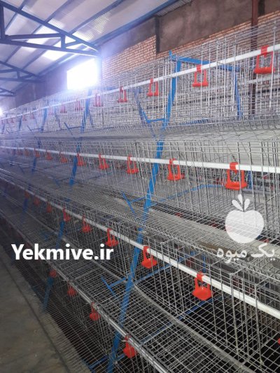 تجهیزات مرغ تخمگذار وگوشتی قفس بلدرچین جت هیتر هواکش صنعتی گلخانه   در آبگرم در گروه خرید فروش تجهیزات گلخانه - صنعتی خانگی هوشمند دست دوم در یکمیوه