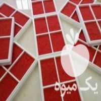 فروش تخم ماهی قزل آلا تحت لیسانس فرانسوی و اسپانیا در همدان در گروه ماهی قزل آلا - سالمون خال قرمز خرید و فروش دریا پرورشی در یکمیوه