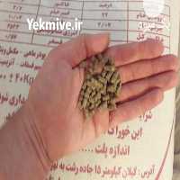 فروش غذای ماهی با کیفیت بالا در تهران در گروه انواع ماهی - سالمون شیر کپور قرمز شوریده سفید گوپی مرکب در یکمیوه