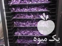 فروش خشک کن مخصوص زعفران انگور و کابینتی زرشک خشک کن زنجبیل در تربت حیدریه در گروه خشک کن - میوه سبزی صنعتی خدمات دستگاه در یکمیوه -عکس1