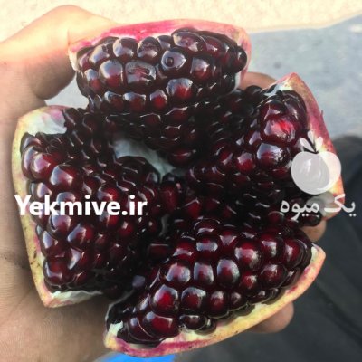 فروش نهال انار یه ساله  در داراب در گروه خرید فروش نهال - انواع گردو پسته بادام سلطانی انگور در یکمیوه -عکس1