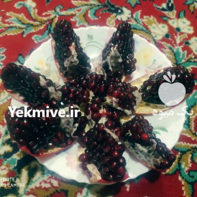 فروش نهال انار یه ساله  در داراب در گروه خرید فروش نهال - انواع گردو پسته بادام سلطانی انگور در یکمیوه -عکس4