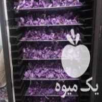فروش خشک کن مخصوص زعفران انگور و کابینتی زرشک خشک کن زنجبیل در تربت حیدریه در گروه خشک کن - میوه سبزی صنعتی خدمات دستگاه در یکمیوه