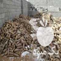 فروش چوب لیمو و زیتون دونم برش خورده مناسب ذغال در کرمانشاه در گروه خرید فروش عمده چوب- زغال چوب گردو تبریزی خام در یکمیوه