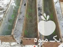 فروش آخور گوسفندی در سیه چشمه در گروه تجهیزات دام و طیور - خرید فروش نو دسته دوم در یکمیوه -عکس1