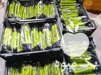 فروش تامین کننده محصولات کشاورزی جهت صادرات در بسته بندی روز دنیا در دزفول در گروه خرید فروش عمده کاهو - رسمی پیچ سالادی فرانسوی چینی قرمز در یکمیوه -عکس1