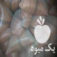 فروش کاه و شبدر مرغوب محصول امسال در کرمانشاه در گروه خرید فروش ماشین آلات کشاورزی - تراکتور تیلر کمباین مدرن در یکمیوه