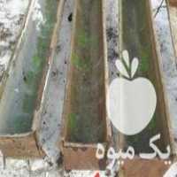 فروش آخور گوسفندی در سیه چشمه در گروه تجهیزات دام و طیور - خرید فروش نو دسته دوم در یکمیوه