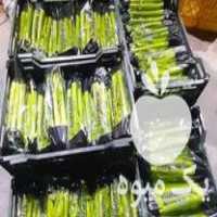 فروش تامین کننده محصولات کشاورزی جهت صادرات در بسته بندی روز دنیا در دزفول در گروه خرید فروش عمده کاهو - رسمی پیچ سالادی فرانسوی چینی قرمز در یکمیوه