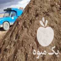 فروش کود گاوی بار حیوانی در دولت آباد در گروه خرید فروش عمده کاهو - رسمی پیچ سالادی فرانسوی چینی قرمز در یکمیوه