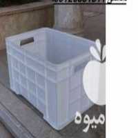 سبد فلفل دلمه در اصفهان در گروه خرید و فروش انواع سبد در یکمیوه