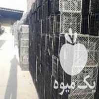 فروش سبد مرکبات پرتقال و نارنگی و سیب درختی در حد نو در دزفول در گروه خرید فروش انواع سبد - میوه پلاستیکی چوبی گل در یکمیوه