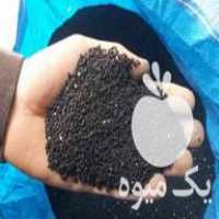 خرید و فروش انواع بذرها در شیراز در گروه خرید فروش بذر - انواع محصول کشاورزی گوجه کتان میوه درخت در یکمیوه