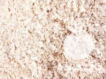 فروش پوشال حیوانات خانگی در کرج در گروه حیوانات خانگی - خرید و فروش در یکمیوه -عکس1